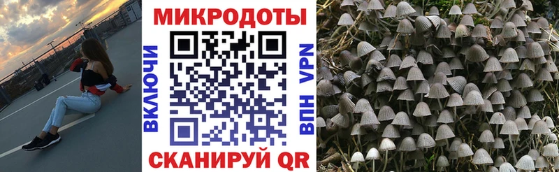 Псилоцибиновые грибы мицелий  Купить  Светлый 